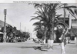 AIN EL TURCK (1090)